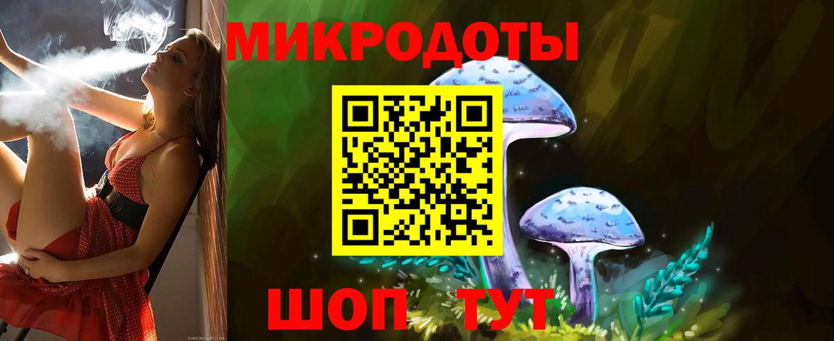Псилоцибиновые грибы Psilocybe  Вход с VPN  Тосно 